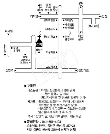  �൵ ���ڱ� ī�� ûø�� 