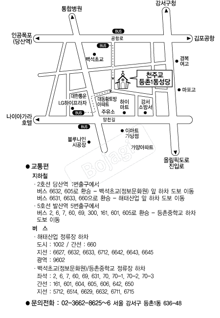  �൵ ���ڱ� ī�� ûø�� 