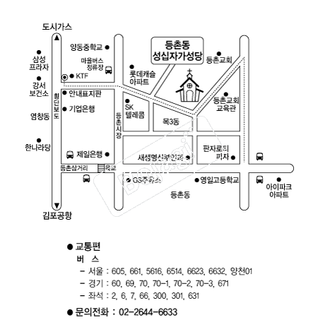  �൵ ���ڱ� ī�� ûø�� 