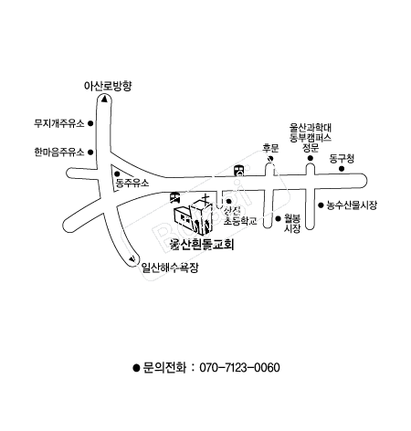  �൵ ���ڱ� ī�� ûø�� 