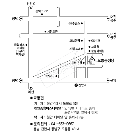  �൵ ���ڱ� ī�� ûø�� 