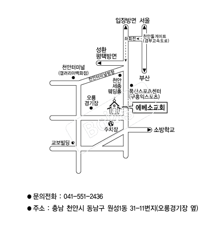  �൵ ���ڱ� ī�� ûø�� 