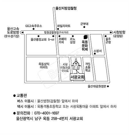  �൵ ���ڱ� ī�� ûø�� 