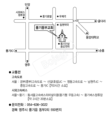  �൵ ���ڱ� ī�� ûø�� 