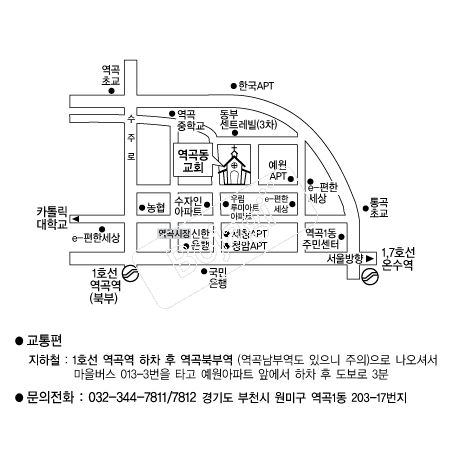  �൵ ���ڱ� ī�� ûø�� 