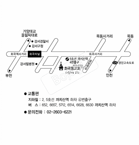  �൵ ���ڱ� ī�� ûø�� 