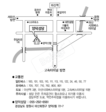 ������� �൵ ���ڱ� ī�� ûø�� 