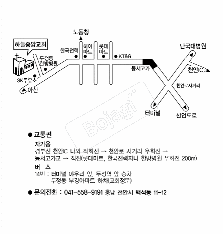  �൵ ���ڱ� ī�� ûø�� 