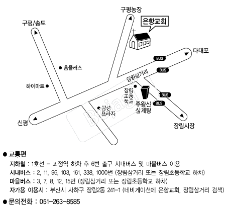 ���ױ�ȸ �൵ ���ڱ� ī�� ûø�� 