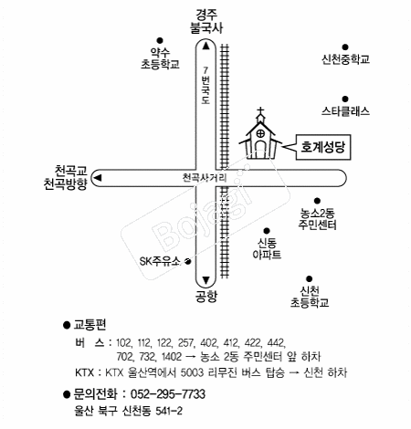  �൵ ���ڱ� ī�� ûø�� 