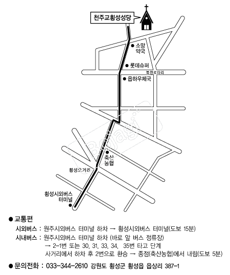  �൵ ���ڱ� ī�� ûø�� 