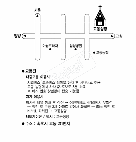  �൵ ���ڱ� ī�� ûø�� 