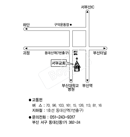 ���α�ȸ �൵ ���ڱ� ī�� ûø�� 