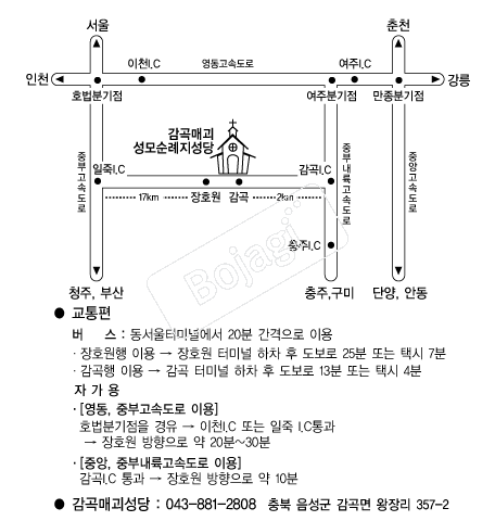 ����� �൵ ���ڱ� ī�� ûø�� 