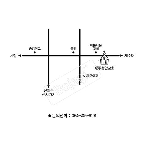  �൵ ���ڱ� ī�� ûø�� 