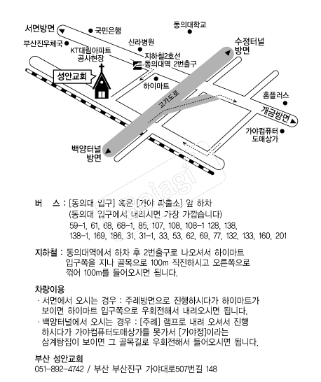 ���ȱ�ȸ �൵ ���ڱ� ī�� ûø�� 