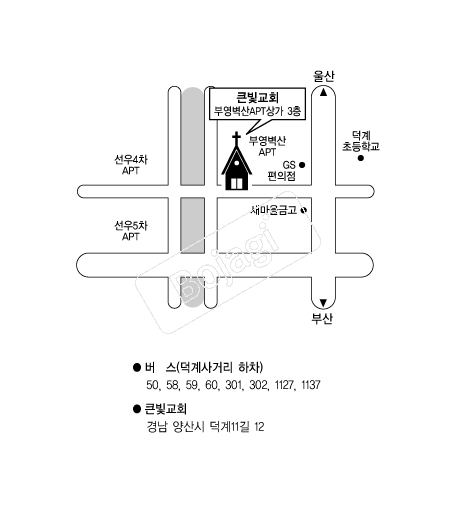  �൵ ���ڱ� ī�� ûø�� 