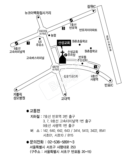 �꼺��ȸ(����) �൵ ���ڱ� ī�� ûø�� 