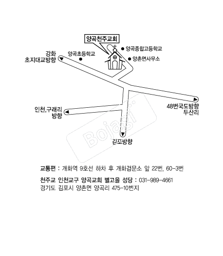  �൵ ���ڱ� ī�� ûø�� 