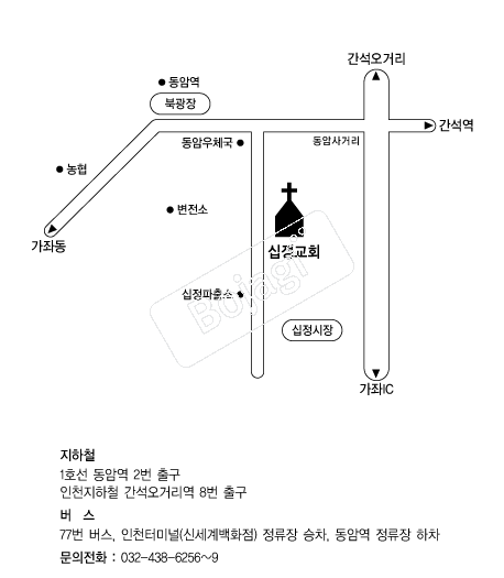  �൵ ���ڱ� ī�� ûø�� 