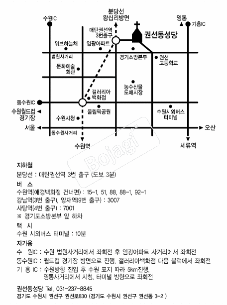 �Ǽ������� �൵ ���ڱ� ī�� ûø�� 