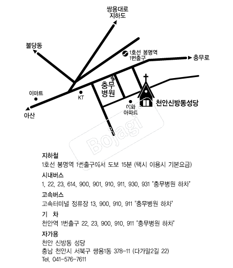 õ�ȽŹ浿���� �൵ ���ڱ� ī�� ûø�� 