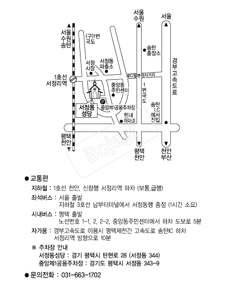 ���������� �൵ ���ڱ� ī�� ûø�� 