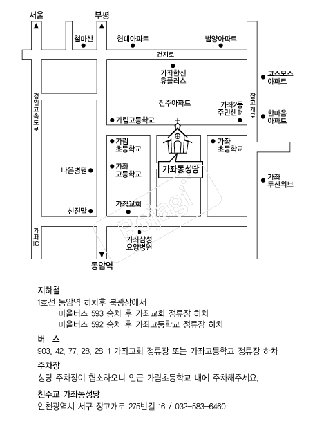  �൵ ���ڱ� ī�� ûø�� 