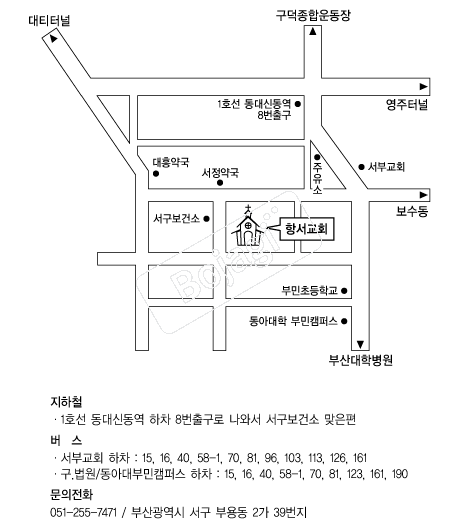  �൵ ���ڱ� ī�� ûø�� 