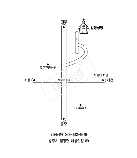  �൵ ���ڱ� ī�� ûø�� 