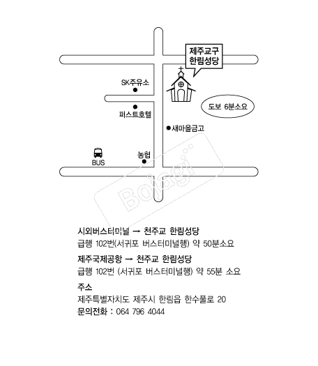 �Ѹ����� �൵ ���ڱ� ī�� ûø�� 