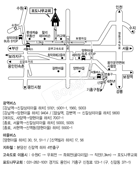 ����������ȸ �൵ ���ڱ� ī�� ûø�� 