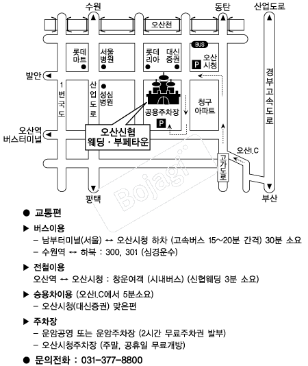 ��������Ȧ �൵ ���ڱ� ī�� ûø�� 