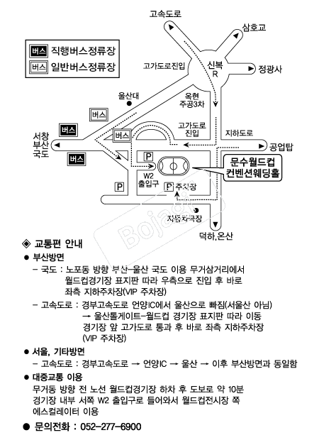 ���������������ǿ���Ȧ �൵ ���ڱ� ī�� ûø�� 