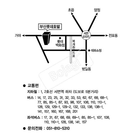 �λ�Ե�ȣ�� �൵ ���ڱ� ī�� ûø�� 