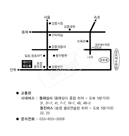 ���̾ȿ���Ȧ �൵ ���ڱ� ī�� ûø�� 