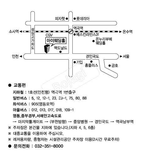 ���̿���Ȧ(��õ) �൵ ���ڱ� ī�� ûø�� 