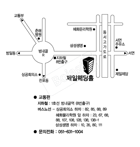 ���Ͽ���Ȧ �൵ ���ڱ� ī�� ûø�� 
