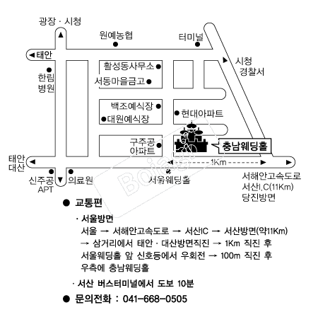�泲������ �൵ ���ڱ� ī�� ûø�� 
