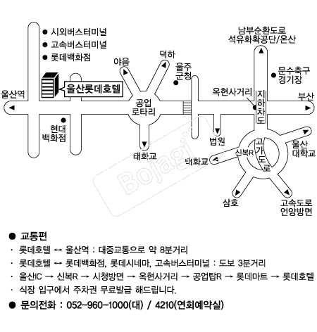 �Ե�ȣ��(���) �൵ ���ڱ� ī�� ûø�� 