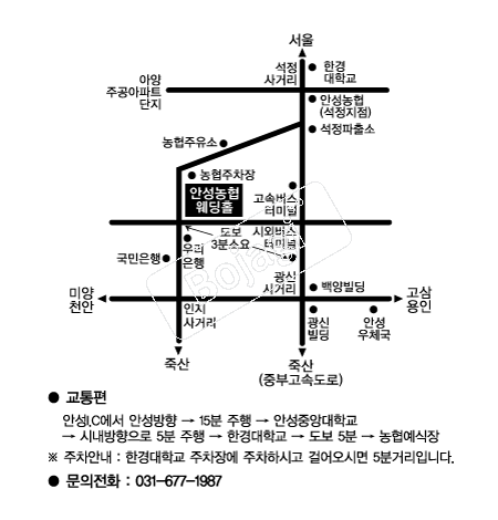 �ȼ���������Ȧ �൵ ���ڱ� ī�� ûø�� 