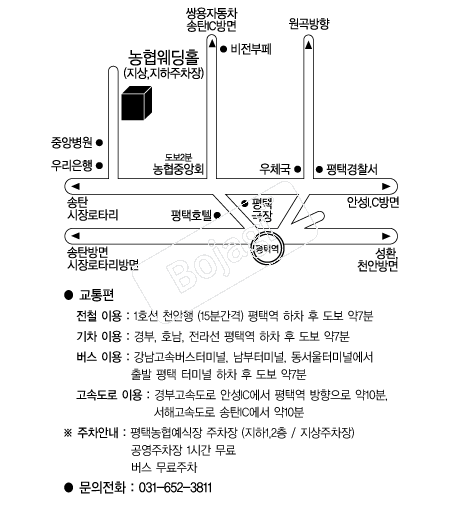 ���ó�������Ȧ �൵ ���ڱ� ī�� ûø�� 