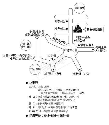 ������Ȧ �൵ ���ڱ� ī�� ûø�� 