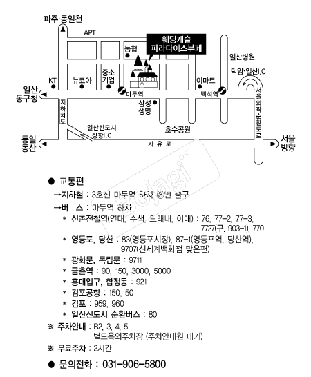 ����ĳ��(�ϻ�) �൵ ���ڱ� ī�� ûø�� 