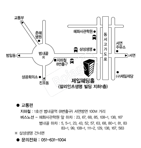 ���Ͽ���Ȧ �൵ ���ڱ� ī�� ûø�� 