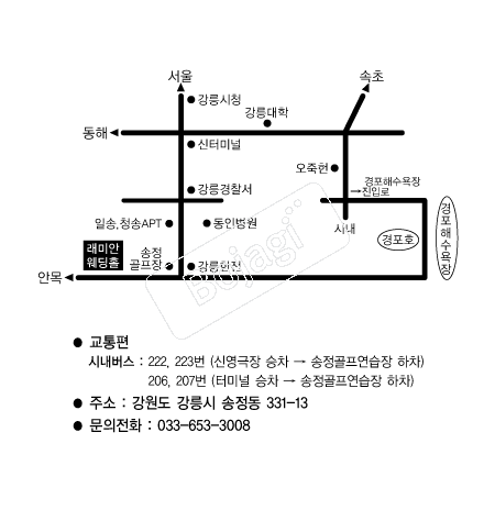 ���̾ȿ���Ȧ �൵ ���ڱ� ī�� ûø�� 