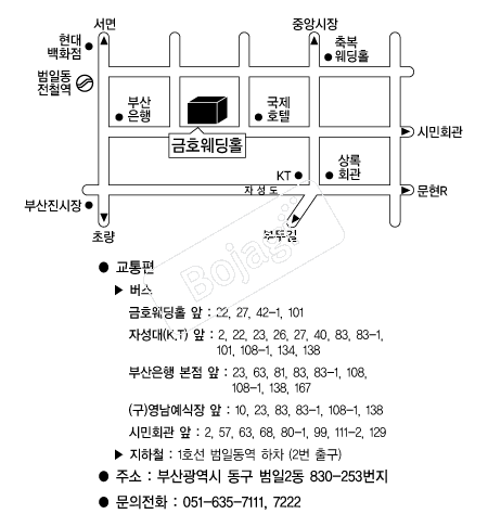 ��ȣ����Ȧ �൵ ���ڱ� ī�� ûø�� 