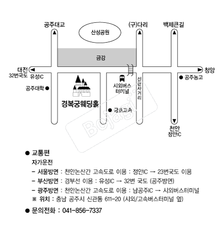 �溹�ÿ���Ȧ �൵ ���ڱ� ī�� ûø�� 