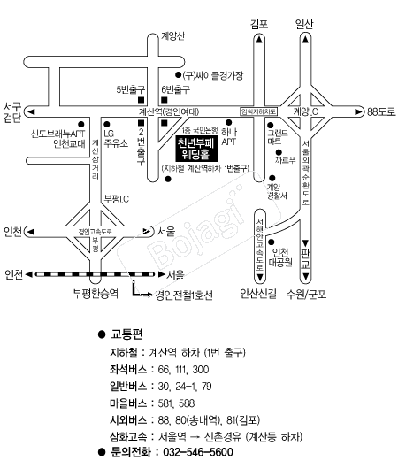 õ��������Ȧ(��õ) �൵ ���ڱ� ī�� ûø�� 