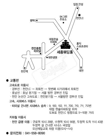 ��������Ȧ(õ��) �൵ ���ڱ� ī�� ûø�� 